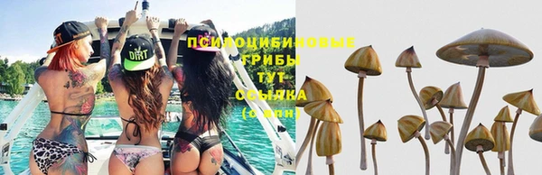молекула духа Белокуриха