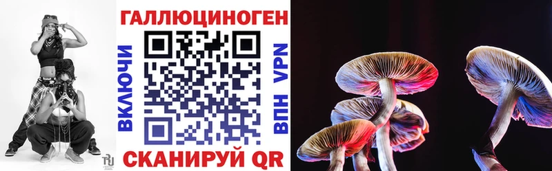Галлюциногенные грибы прущие грибы  Красный Холм 